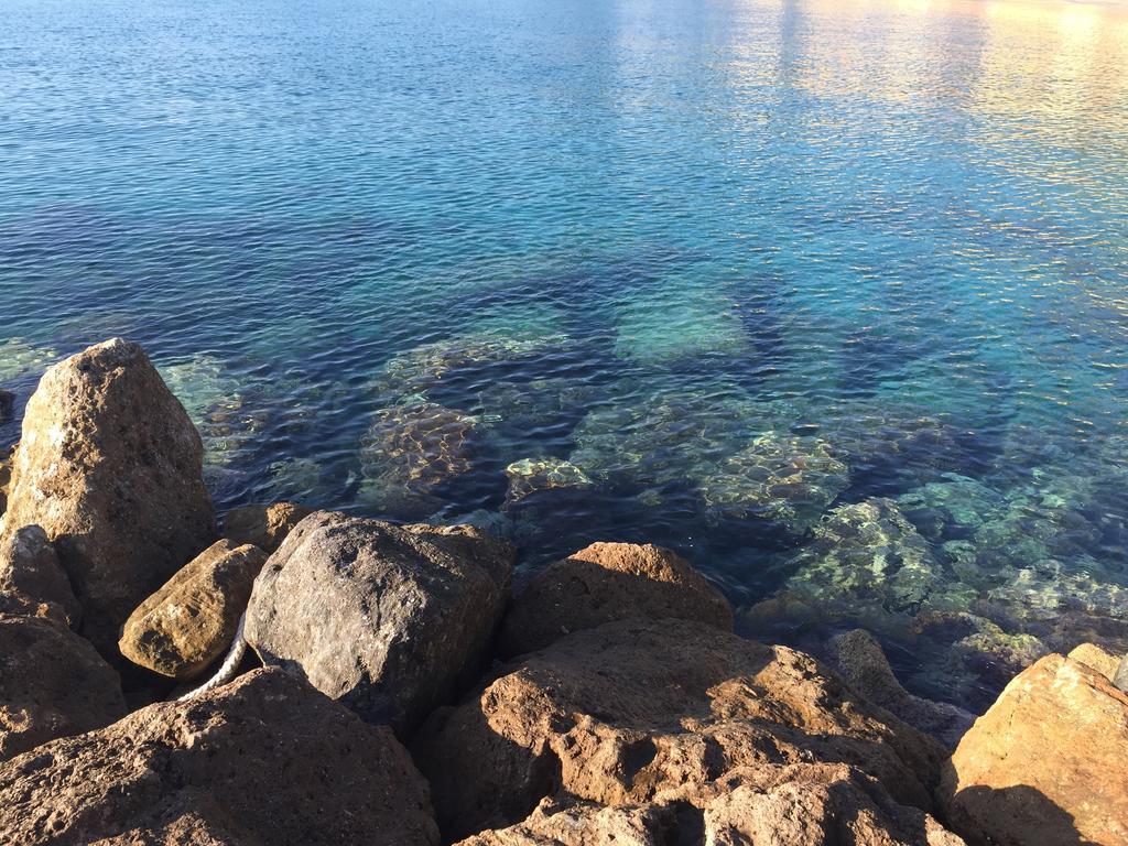 Les Agrumes Varigotti Bagian luar foto